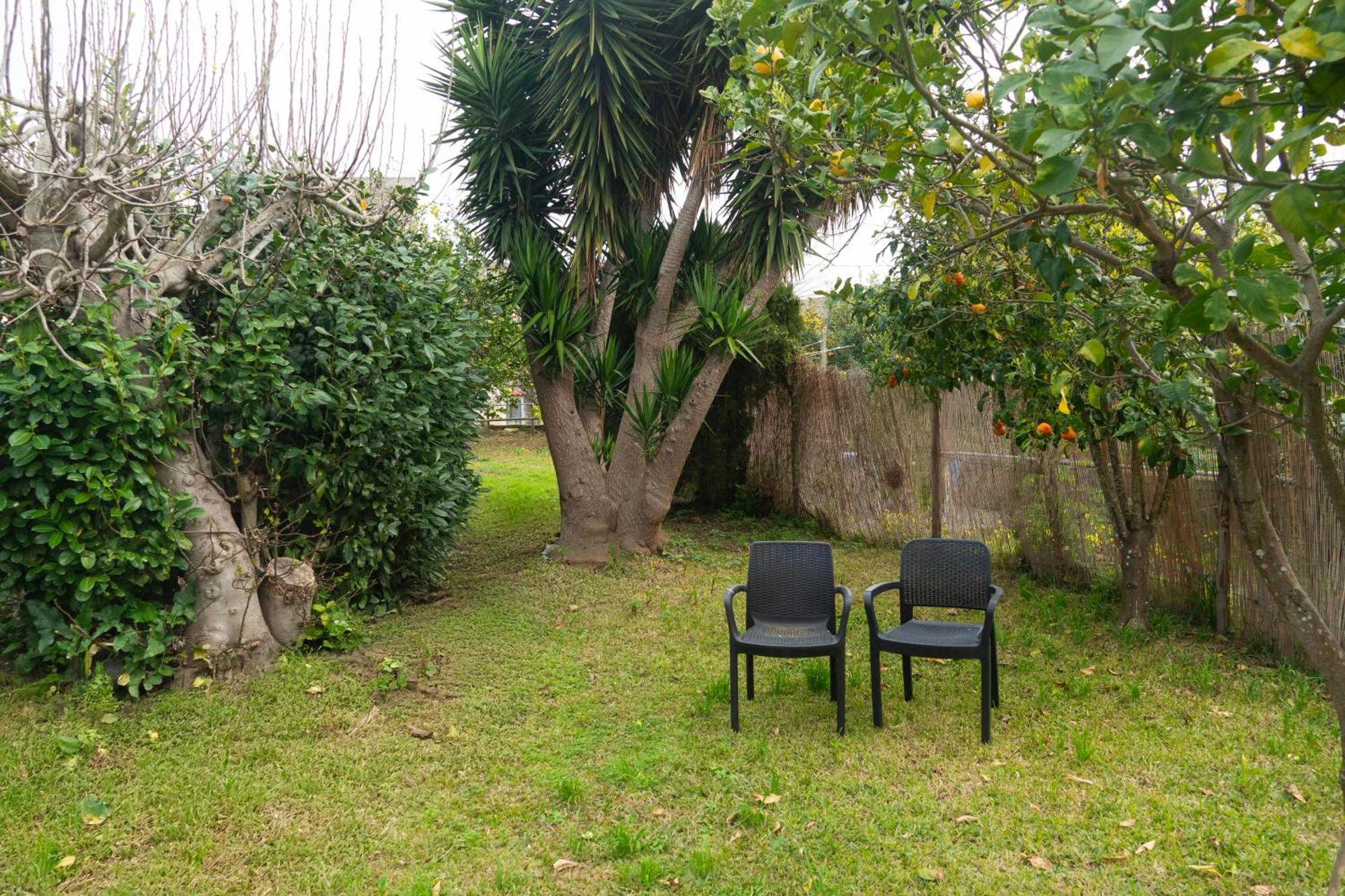 La Terrazza Sul Giardino Apartment Procida Ngoại thất bức ảnh