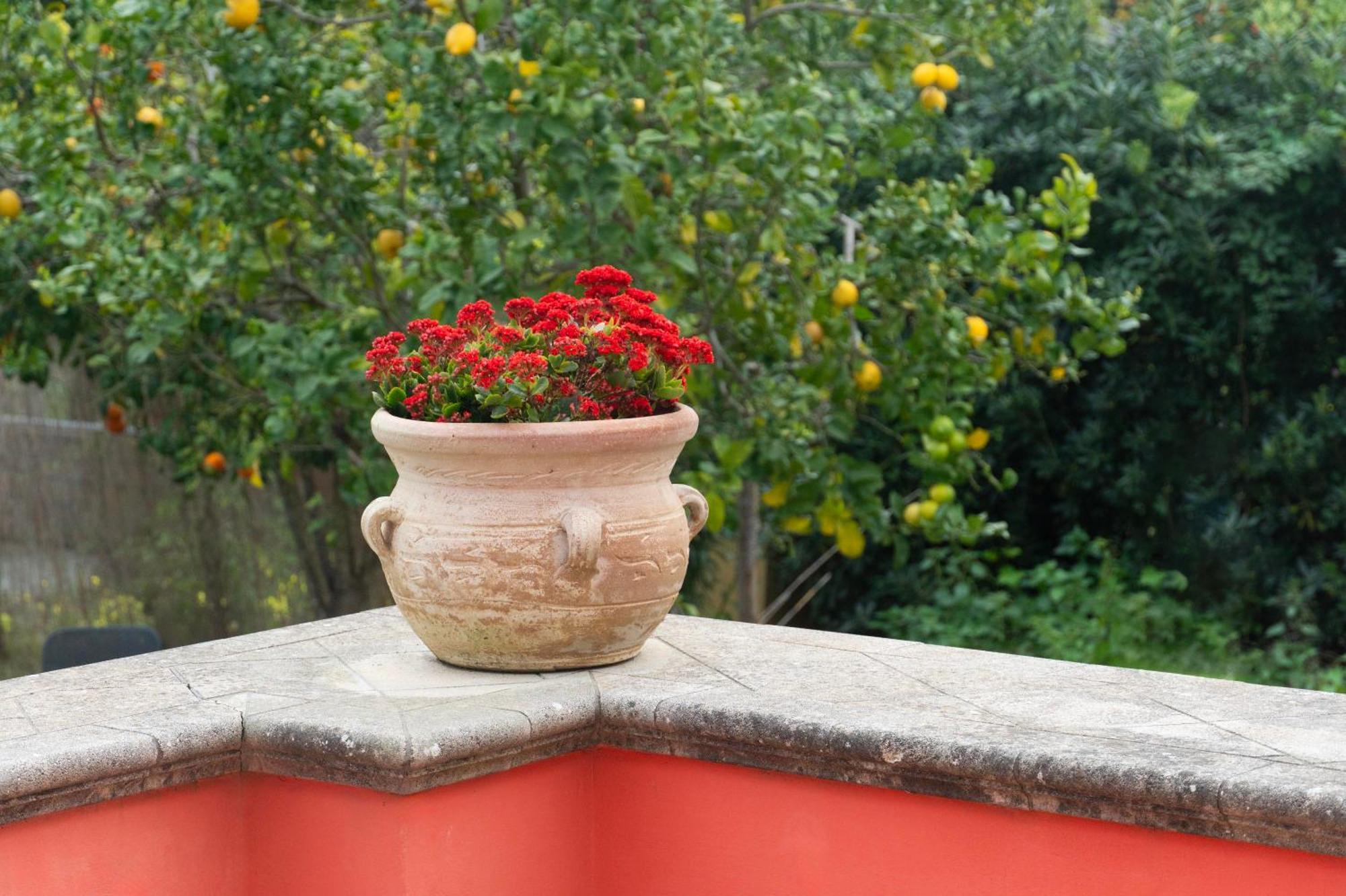 La Terrazza Sul Giardino Apartment Procida Ngoại thất bức ảnh