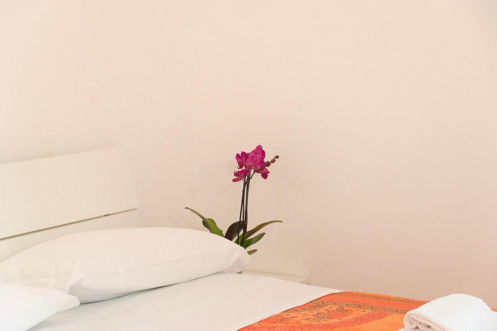 La Terrazza Sul Giardino Apartment Procida Ngoại thất bức ảnh